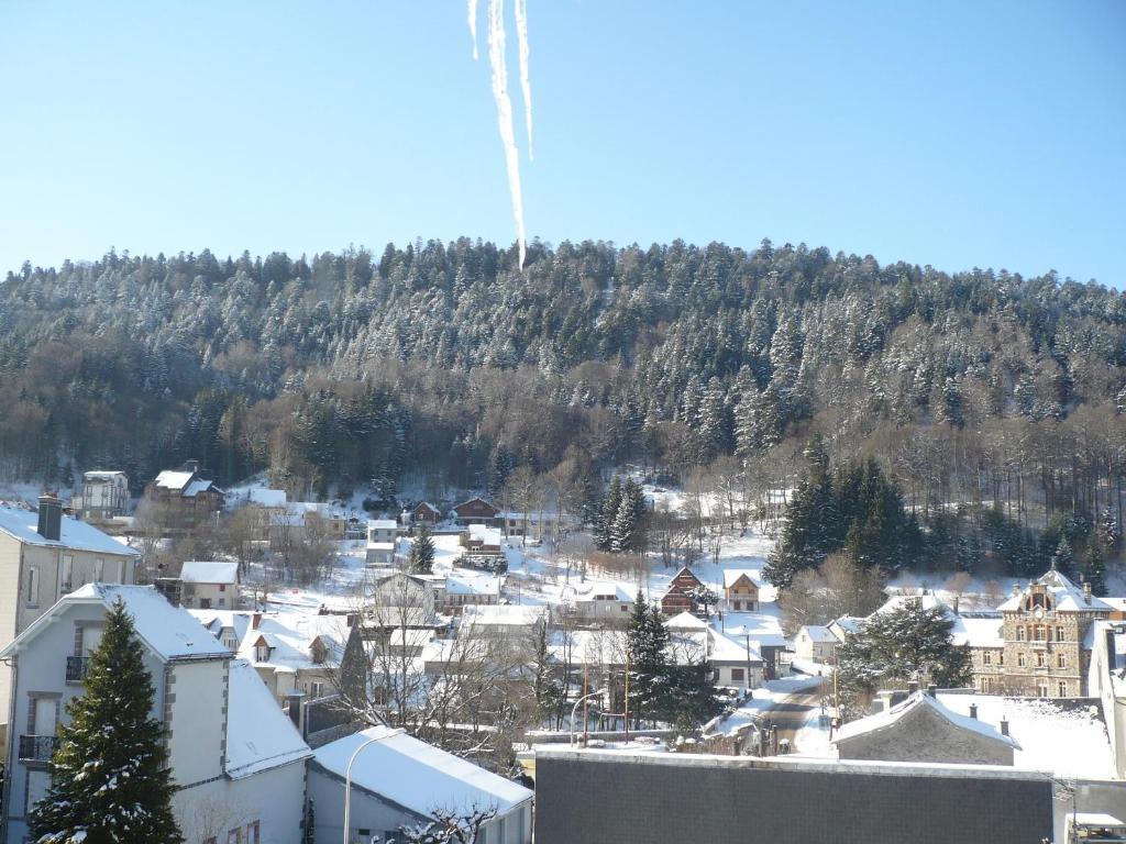 Residence Wilson Le Mont-Dore Zimmer foto